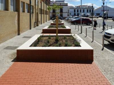 ALBARDILLAS. CARMONA